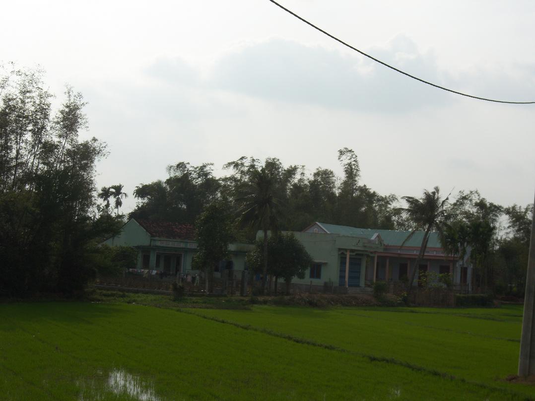 Palmen