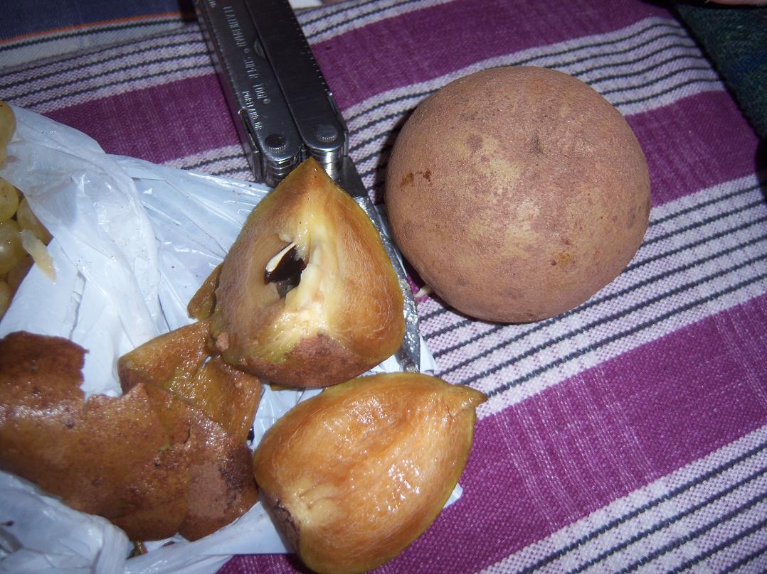 cikku