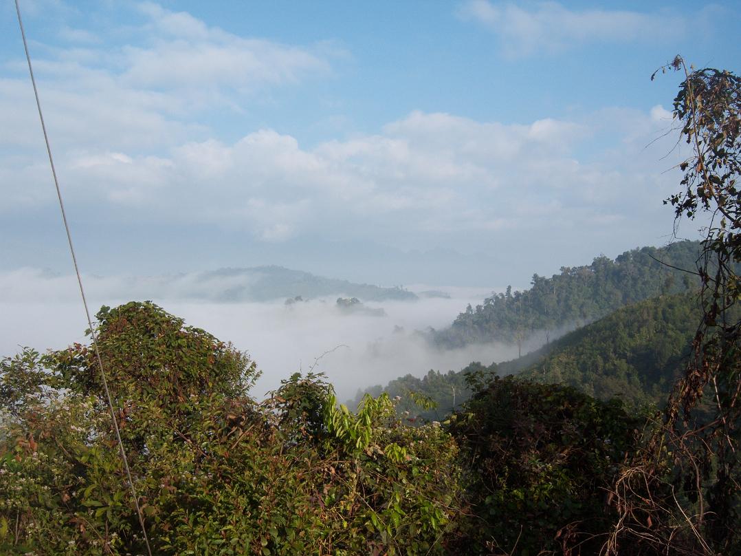 nebel